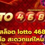 เว็บ lotto bet